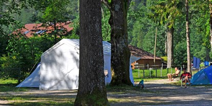 Reisemobilstellplatz - Bademöglichkeit für Hunde - Österreich - Stellplatz vor und im Alpen Caravan Park Achensee
