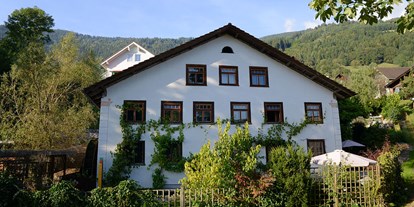 Reisemobilstellplatz - Umgebungsschwerpunkt: Berg - Österreich - Die Alte Mühle Düns - mulino - Stellplatz Düns