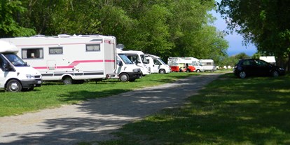 Reisemobilstellplatz - Bademöglichkeit für Hunde - Stellplätze - Sanddornstrand - Wohnmobil- und Wohnwagenstellplätze in der Ostseegemeinde Wittenbeck