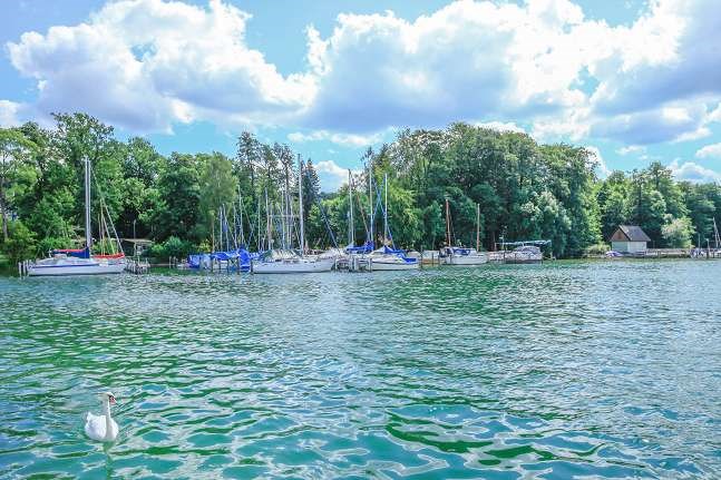 Summer hustle and bustle at Werbellinsee