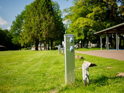 Reisemobilstellplatz - Hunde erlaubt: Hunde erlaubt - Syke - Reisemobilstellplatz Hartensbergsee - Reisemobil Wiese