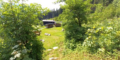 Reisemobilstellplatz - Wohnwagen erlaubt - Pongau - Stellplätze Bauernhaus Edt (nur für Camper mit eig. Toilette)