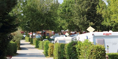 Reisemobilstellplatz - Wohnwagen erlaubt - Campingplatzgelände - Kur- und Feriencamping Holmernhof Dreiquellenbad