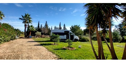 Reisemobilstellplatz - Umgebungsschwerpunkt: am Land - Spanien - Finca Sa Vinya, Mallorca