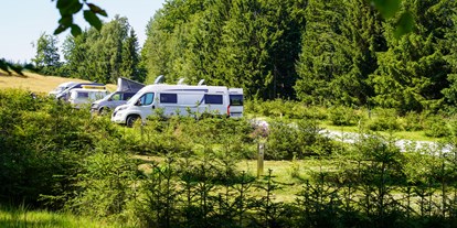 Reisemobilstellplatz - Art des Stellplatz: im Campingplatz - Engelhartszell - Blick auf den Wohnmobilhafen - Camping Resort Bayerwald