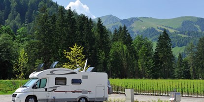 Motorhome parking space - Stromanschluss - Bayrischzell - Stellplatz vor und im Alpen Caravan Park Achensee
