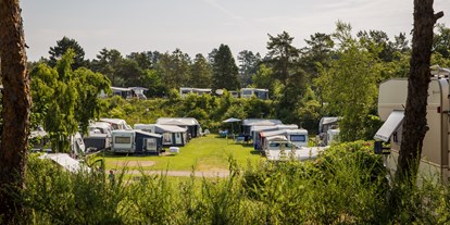Motorhome parking space - Ebeltoft - DCU-Camping Ebeltoft - Mols