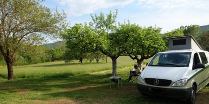 Motorhome parking space - Hunde erlaubt: Hunde erlaubt - Montenegro federal state - Purple Eye Estate - (Camping-ground and Winery Jokaš) 