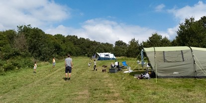 Reisemobilstellplatz - Umgebungsschwerpunkt: am Land - Hailsham - Star Field Camping & Glamping