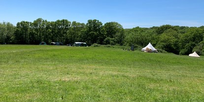 Reisemobilstellplatz - Art des Stellplatz: vor Campingplatz - Großbritannien - Star Field Camping & Glamping