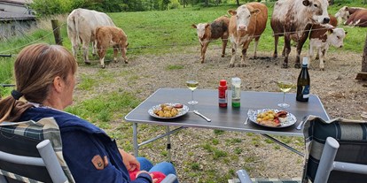 Reisemobilstellplatz - Hunde erlaubt: Hunde erlaubt - Nordrhein-Westfalen - Gemeinsames Abendessen mit den Kühen - Ferienhof Welling