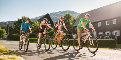 Reisemobilstellplatz - Stromanschluss - Geführte Radtouren vom Trixi Ferienpark aus ins Zittauer Gebirge - Trixi Ferienpark Zittauer Gebirge