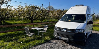 Motorhome parking space - Wohnwagen erlaubt - Baden-Württemberg - Zwischen Kirschbäumen und Hopfen