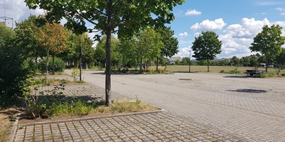 Motorhome parking space - WLAN: am ganzen Platz vorhanden - Heuchelheim-Klingen - Stellplatz Offenbach