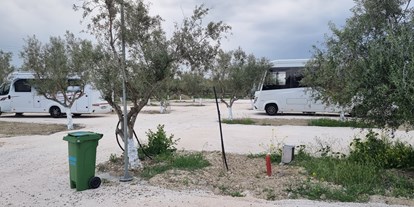 Motorhome parking space - Wintercamping - Greece - Camperstop OliveTree 