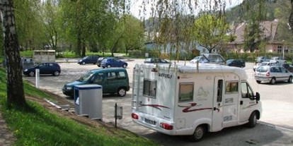 Motorhome parking space - Bademöglichkeit für Hunde - Schwarzwald - Parkplatz Wöhrd