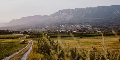 Reisemobilstellplatz - Umgebungsschwerpunkt: am Land - Slowenien - Winery Kmetija Tomažič