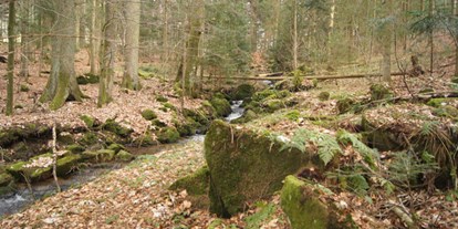 Reisemobilstellplatz - Umgebungsschwerpunkt: Berg - Waldkirchen (Freyung-Grafenau) - Hinterm Haus läuft der Bach durch den Wald.  - Die Bachlmühle