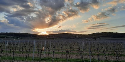 Reisemobilstellplatz - Stromanschluss - Niederösterreich - Wunderschöne Sonnenuntergänge, Weinberge nebenan - Idyllisches Plätzchen im Weinviertel