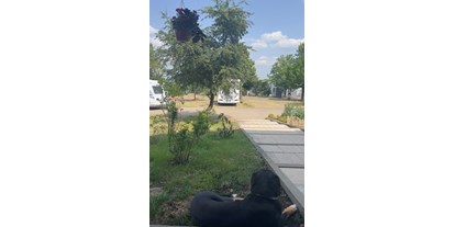 Reisemobilstellplatz - Hunde erlaubt: Hunde erlaubt - Mittweida - Camper Queen