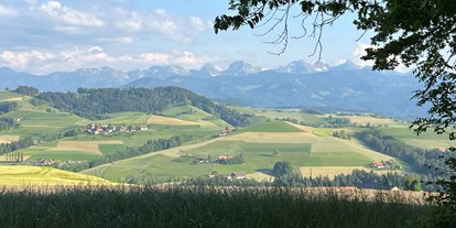 Reisemobilstellplatz - Umgebungsschwerpunkt: Berg - Schweiz - Rundumsicht Borisried 