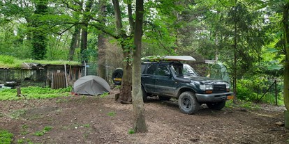 Reisemobilstellplatz - Odenthal - Kleinere Camper (bis max. 6m Länge).PKWs mit Dachzelt, Spezialfahrzeuge finden bei uns idyllische Stellplätze. - Zeltplatz im Park mit vielen freilaufenden Tieren 