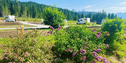 Reisemobilstellplatz - Umgebungsschwerpunkt: See - Tirol - CamperPark Seefeld