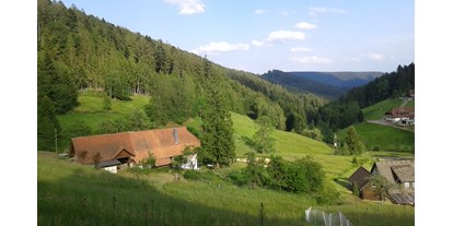 Reisemobilstellplatz - Baiersbronn - Im Glaswald - Glaswaldhof