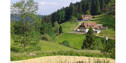 Reisemobilstellplatz - Umgebungsschwerpunkt: am Land - Baiersbronn - Blick über den Stellplatz - Glaswaldhof