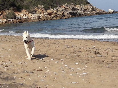 Reisemobilstellplatz - Hunde erlaubt: Hunde erlaubt - Italien - Haustierfreundlich - ELBADOC Camping Village