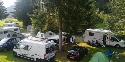 Motorhome parking space - Art des Stellplatz: bei Gewässer - Austria - Camping Viktoria, Wald im Pinzgau - Camping Viktoria - Wald im Pinzgau -