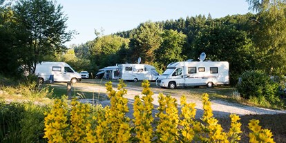 Reisemobilstellplatz - Art des Stellplatz: vor Campingplatz - Hunsrück - Camping Harfenmühle