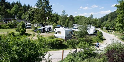 Motorhome parking space - Badestrand - Piesport - Camping Harfenmühle
