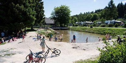 Reisemobilstellplatz - Bademöglichkeit für Hunde - Hunsrück - Camping Harfenmühle