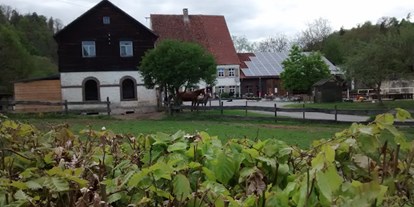 Reisemobilstellplatz - Art des Stellplatz: am Bauernhof - Schwarzwald - Hofgut-Neckarburg - Idylle PUR 