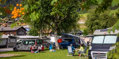 Motorhome parking space - WLAN: teilweise vorhanden - Switzerland - Camping Vermeille