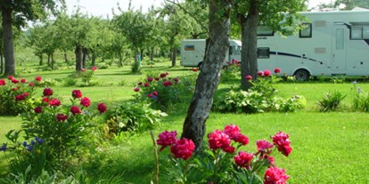 Reisemobilstellplatz - Duschen - Baden-Württemberg - Großzügige Wohnmobilstellplätze auf der Obstwiese vor dem Campinggelände mit schönen Blumenrabatten . - Romantik Stellplatz