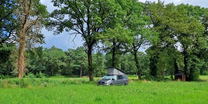 Reisemobilstellplatz - Wohnwagen erlaubt - Twente - Naturstellplatz "Kleine Weide unter Bäumen."