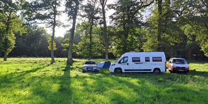 Reisemobilstellplatz - Wohnwagen erlaubt - Twente - Naturstellplatz "Kleine Weide unter Bäumen."