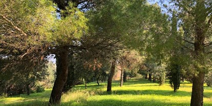 Reisemobilstellplatz - Umgebungsschwerpunkt: Stadt - Apulien - Area Sosta Camper Masseria Appia Traiana - Ostuni