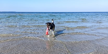 Reisemobilstellplatz - Frischwasserversorgung - Ostsee - Glücklicher Hund am Hundestrand der Wohlenberger Wiek... - ostseequelle.camp