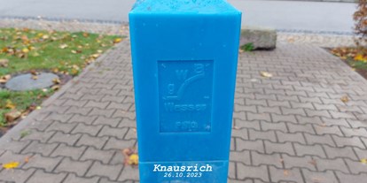 Reisemobilstellplatz - Entsorgung Toilettenkassette - Thüringen - Wohnmobil-Stellplatz „An der Kyffhäuser-Therme“