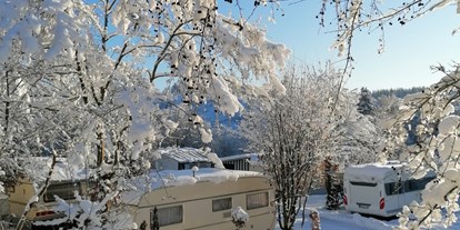Reisemobilstellplatz - Wintercamping - Harz - Campingplatz „Am Bärenbache“