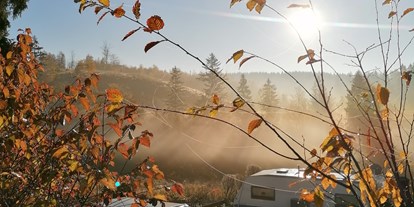 Reisemobilstellplatz - Wohnwagen erlaubt - Thüringen - Campingplatz „Am Bärenbache“