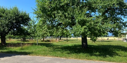 Reisemobilstellplatz - Bätterkinden - oder parken Sie lieber auf der anderen Seite bei den Hochstammobstbäumen - Berchtoldshof