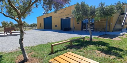 Reisemobilstellplatz - Wintercamping - Roses - Zona picnic - Relax and enjoy ample space and tranquility among organic olive trees