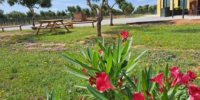 Motorhome parking space - Torroella de Montgrí - Naturaleza - Relax and enjoy ample space and tranquility among organic olive trees