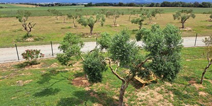 Reisemobilstellplatz - Umgebungsschwerpunkt: Stadt - Katalonien - Vista panorámica - Relax and enjoy ample space and tranquility among organic olive trees