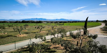 Motorhome parking space - Torroella de Montgrí - Vista panorámica - Relax and enjoy ample space and tranquility among organic olive trees