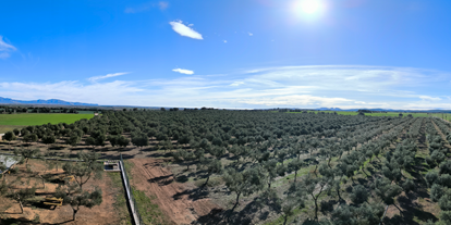 Reisemobilstellplatz - Hunde erlaubt: Hunde erlaubt - Katalonien - Vista panorámica - Relax and enjoy ample space and tranquility among organic olive trees